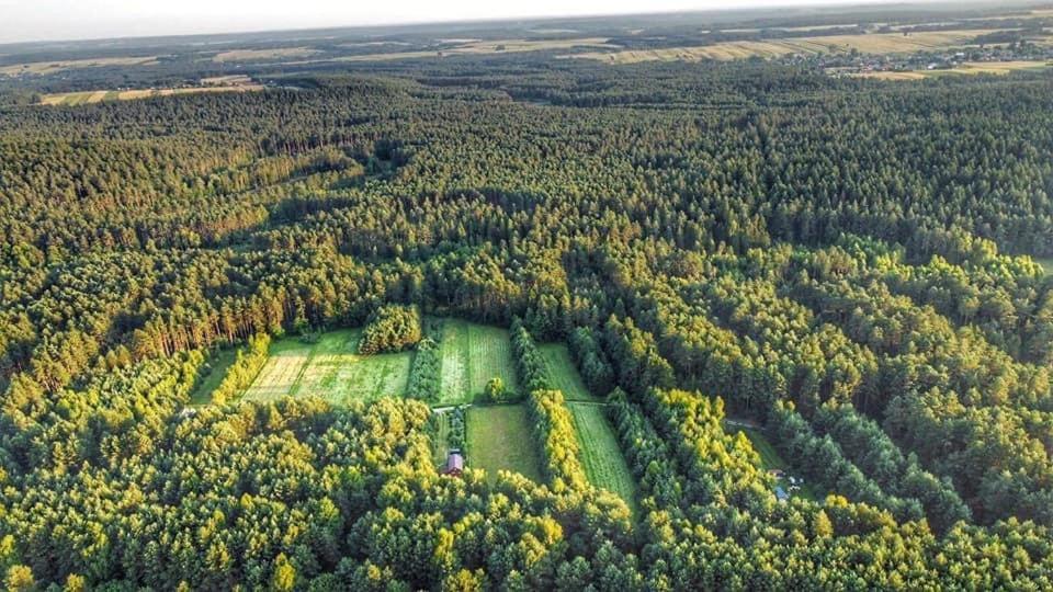 Wittowka - Domek Na Wylacznosc Z Dala Od Sasiadow Tomaszów Lubelski Extérieur photo