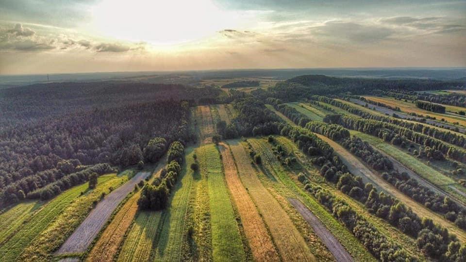 Wittowka - Domek Na Wylacznosc Z Dala Od Sasiadow Tomaszów Lubelski Extérieur photo